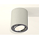 Потолочный светильник Ambrella Light Techno Spot XS7423021 (C7423, N7003)