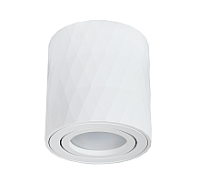 Накладной светильник Arte Lamp Fang A5559PL-1WH