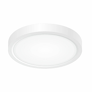 Накладной светильник Citilux CL738120N