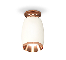 Потолочный светильник Ambrella Light Techno Spot XS1122045 (N6906, C1122, N7035)