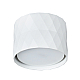 Потолочный светильник Arte Lamp Fang A5552PL-1WH