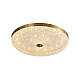 Потолочный светодиодный светильник Arti Lampadari Viro L 1.13.45x9 G