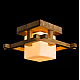 Потолочный светильник Arte Lamp 95 A8252PL-1BR