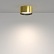 Потолочный светильник Maytoni Technical C091CL-12W4K-BS