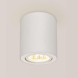 Потолочный светильник Citilux Дюрен CL538111