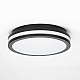 Настенно-потолочный светильник Citilux Luns CL711011V