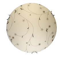 Настенно-потолочный светодиодный светильник Toplight Karissa TL9650Y-00WH