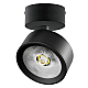 Накладной светильникAlta Pro Lightstar A5647SO