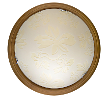 Настенно-потолочный светодиодный светильник Toplight Jane TL9640Y-00OA