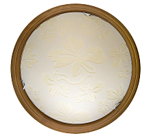 Настенно-потолочный светодиодный светильник Toplight Jane TL9640Y-00OA