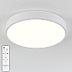 Потолочный светодиодный светильник Natali Kovaltseva LED LAMPS 81111/5C