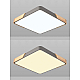 Потолочный светодиодный светильник Natali Kovaltseva LED LAMPS 81413