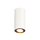 Накладной поворотный светильник Ambrella Light Techno XS7442004 (C7442, N7004)