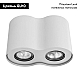 Потолочный светильник Arte Lamp Falcon A5633PL-2WH