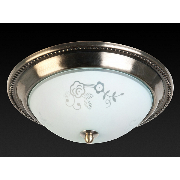 Накладной светильник Toplight Molly TL5020Y-02AB