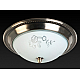 Накладной светильник Toplight Molly TL5020Y-02AB