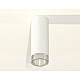 Потолочный светильник Ambrella Light Techno Spot XS6342020 (C6342, N6150)