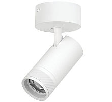 Накладной светильник 20-55G с адаптером Lightstar Canno Pro C4306SO