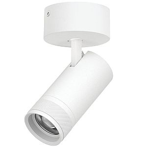 Накладной светильник 20-55G с адаптером Lightstar Canno Pro C4306SO