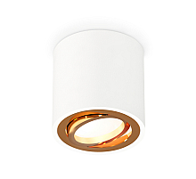 Потолочный светильник Ambrella Light Techno Spot XS7531004 (C7531, N7004)
