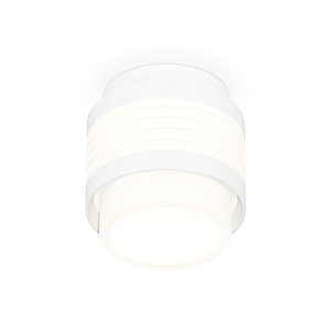 Потолочный светильник Ambrella Light Techno Spot XS8431001 (C8431, N8401)