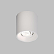 Потолочный светильник Denkirs DK3040-WH