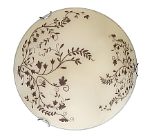 Настенно-потолочный светодиодный светильник Toplight Irene TL9631Y-00WH