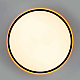 Потолочный светильник Citilux NORMA CL749501