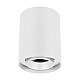 Накладной светильник Arlight SP-FOCUS-R110-18W Day4000 054854