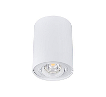 Накладной светильник Kanlux Bord DLP-50-W  22551