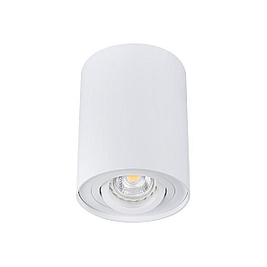 Накладной светильник Kanlux Bord DLP-50-W  22551