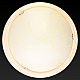 Настенно-потолочный светодиодный светильник Toplight Jane TL9640Y-00PN