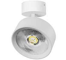 Накладной светильник Alta Pro Lightstar A5746SO
