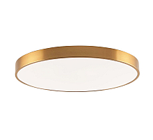 Потолочный светильник Zortes Tortty ZRS.02566.96