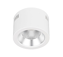 Накладной светильник Arlight SP-LEGEND-R176-20W Warm3000 (WH, 50 deg, 230V) 046445