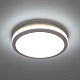 Накладной светильник Citilux CL711010V