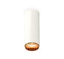 Потолочный светильник Ambrella Light Techno Spot XS6342005 (C6342, N6124)