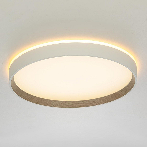Потолочный светодиодный светильник Citilux Etalon CL750320R