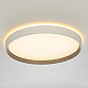 Потолочный светодиодный светильник Citilux Etalon CL750320R
