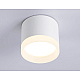 Накладной светильник Ambrella Light Acrylic Frost TN5365