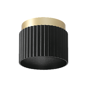 Накладной светильник WOLTA Muse WSL-GX53/19BG