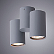 Накладной светильник ARTE Lamp A1511PL-2GY