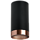 Накладной светильник Lightstar Rullo R437430 (214437+203430)