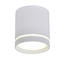 Накладной светильник Omnilux Capurso OML-102409-05