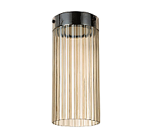 Накладной светильник Odeon Light Pillari 5047/10LC
