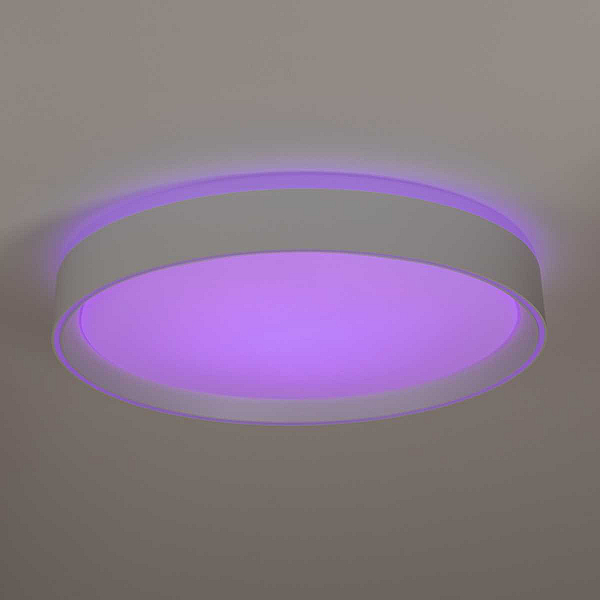 Потолочный светодиодный светильник Citilux Boss CL751350G