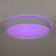 Потолочный светодиодный светильник Citilux Boss CL751350G