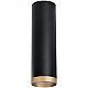 Накладной светильник Lightstar Rullo R6497490 (216497+203490)