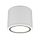 Потолочный светильник Maytoni Technical Rendo C095CL-GX53-W