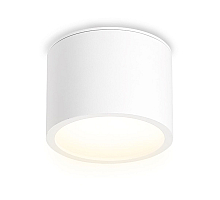 Накладной светильник Ambrella Light IP Protect TN6550